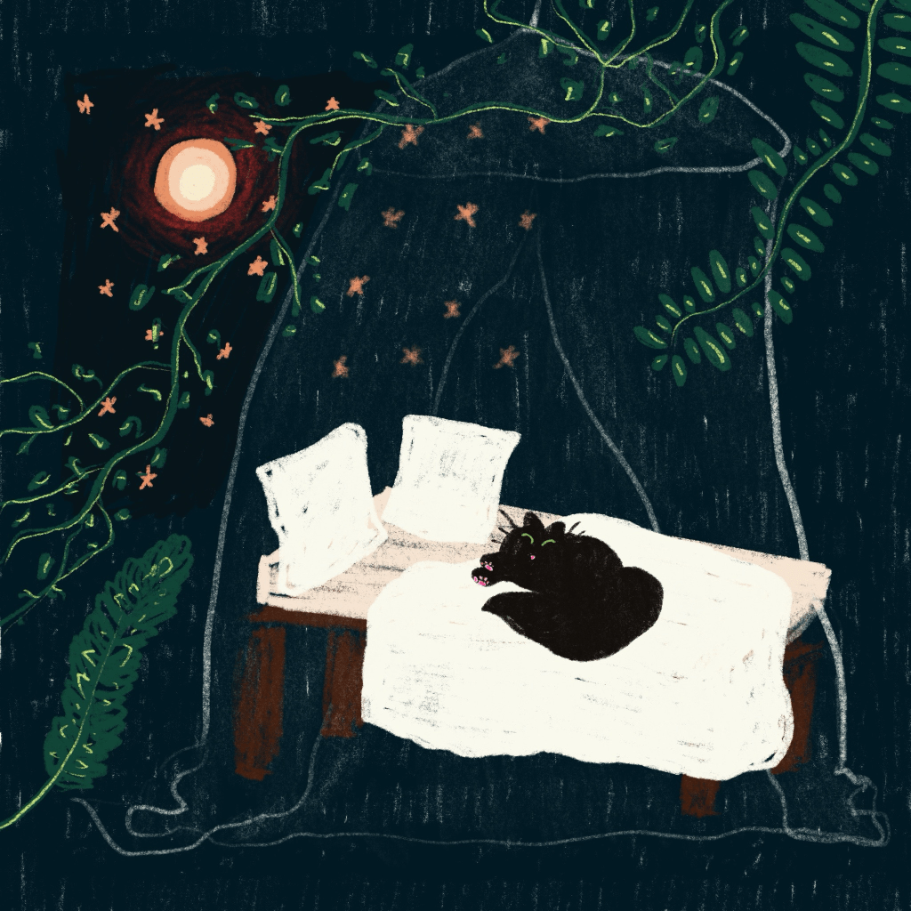 The cat and the Moon